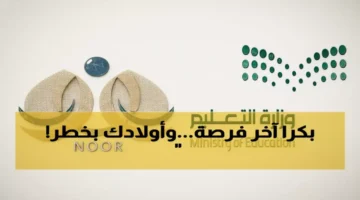 48 ساعة أخيرة.. 6.5 مليون طالب سعودي يواجهون تجميد بيانات الأطفال